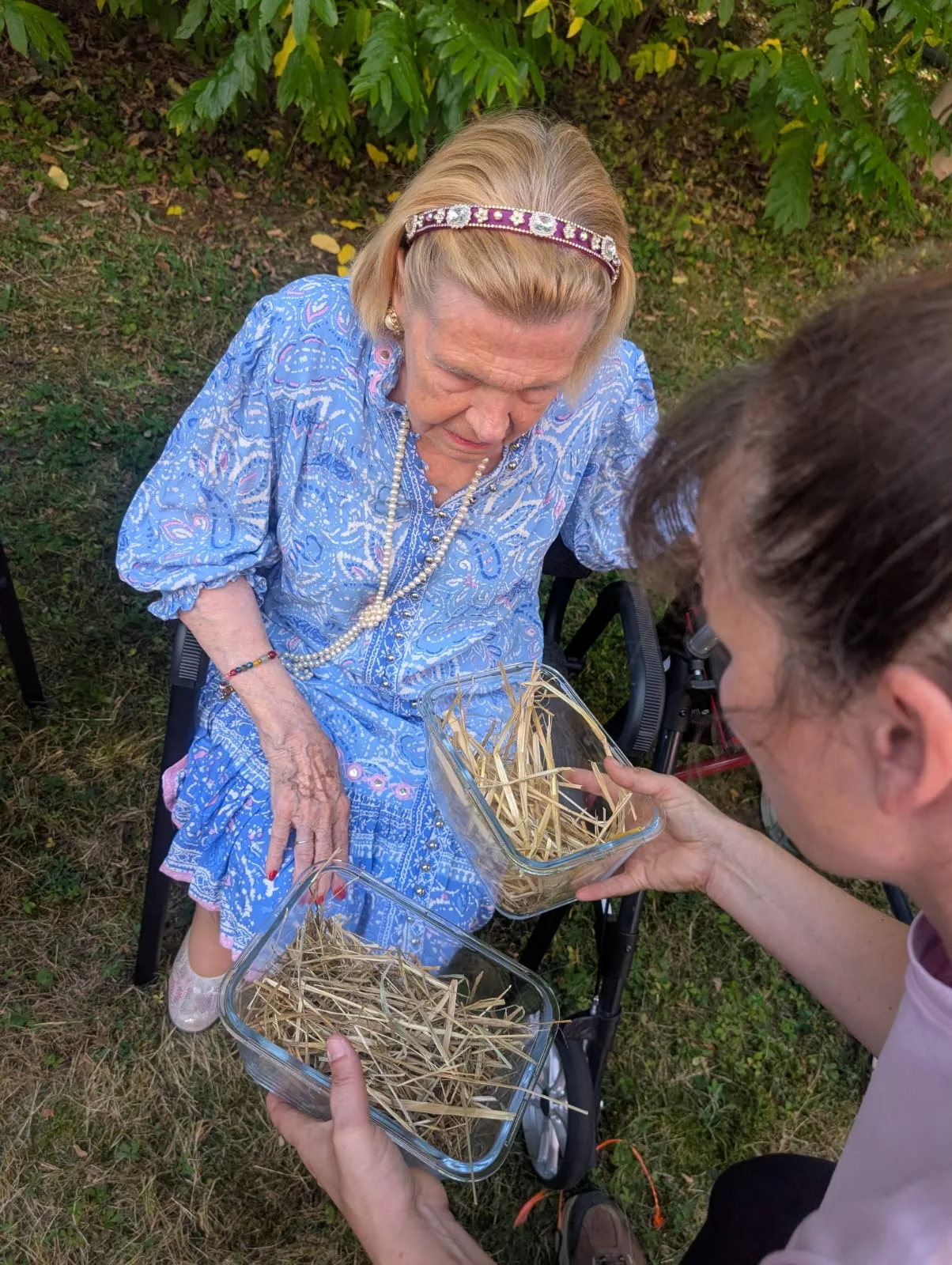 Seniorin füttert Heu bei einem Ponybesuch