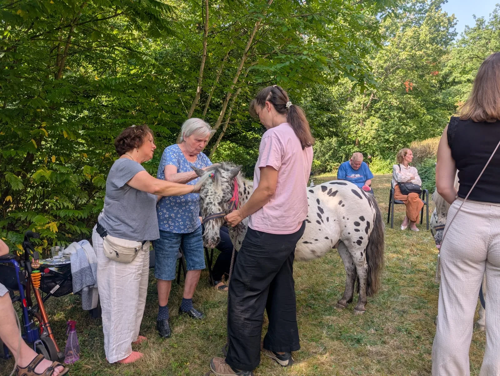 Seniorin streichelt das gepunktete Pony