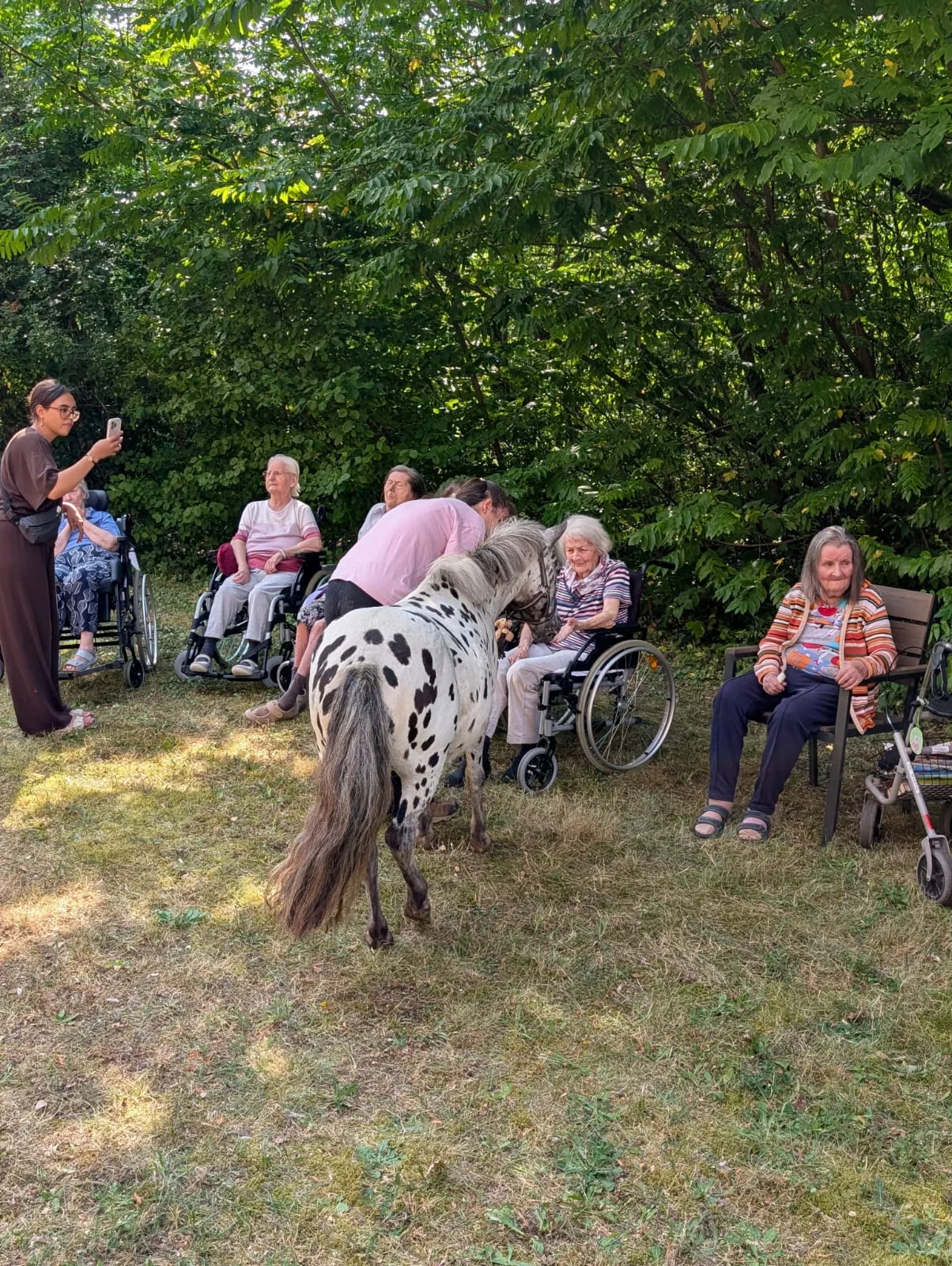 Senioren im Kreis mit Pony