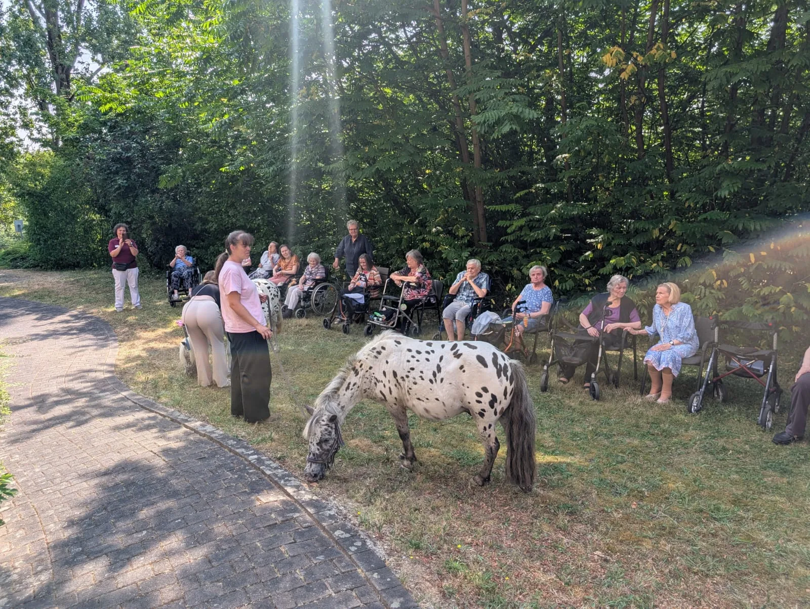 Pony grast vor sitzenden Bewohnern
