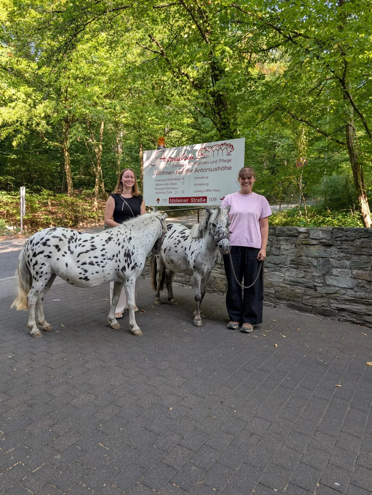Ponys vor dem Schild der Einrichtung