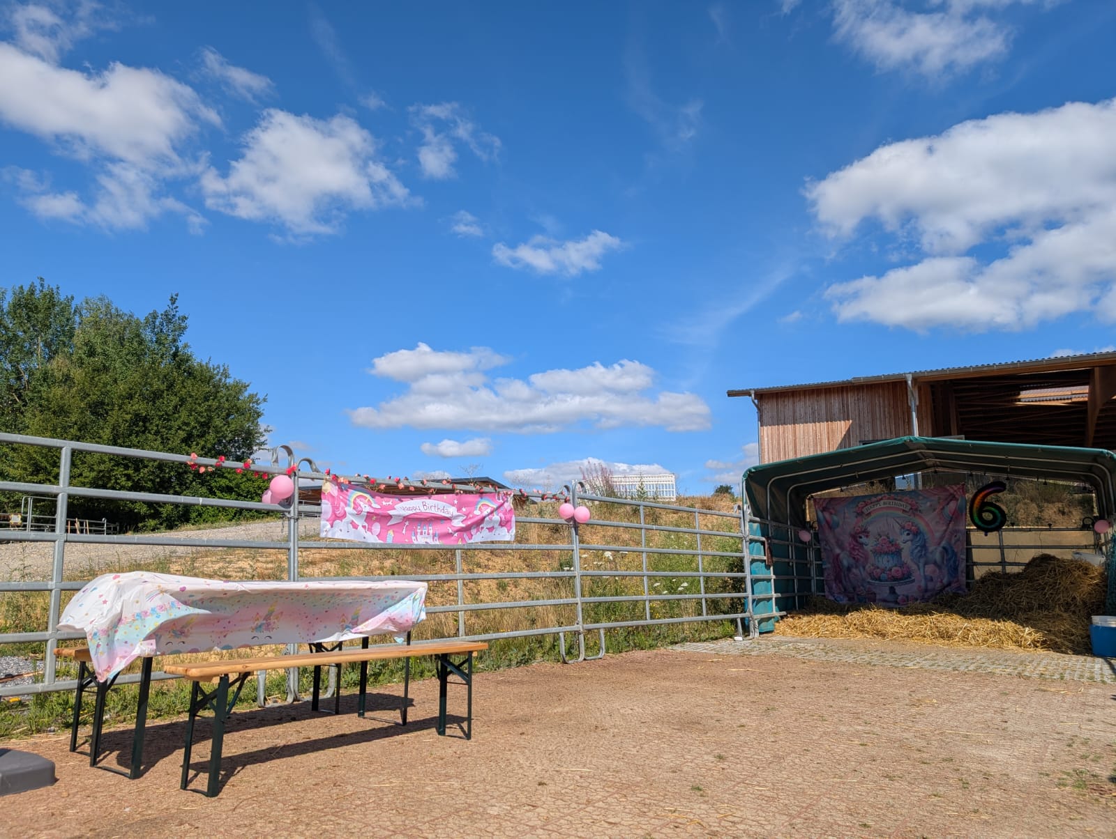 Geburtstagsdeko mit Bierzeltgarnitur, Banner und Luftballons auf dem Reitplatz von Pünktchen Ponys