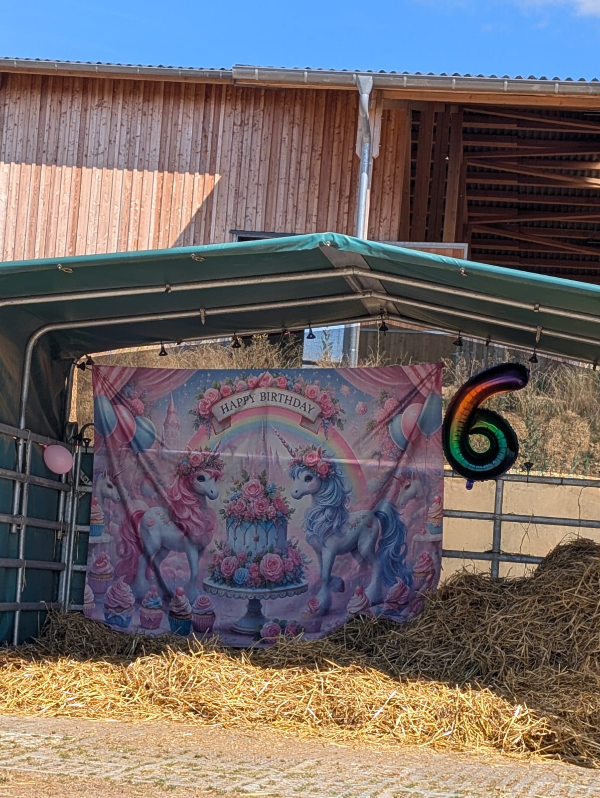Geburtstagsdekoration mit Einhorn-Hintergrund und Ballon mit der Zahl 6 im Pony-Unterstand