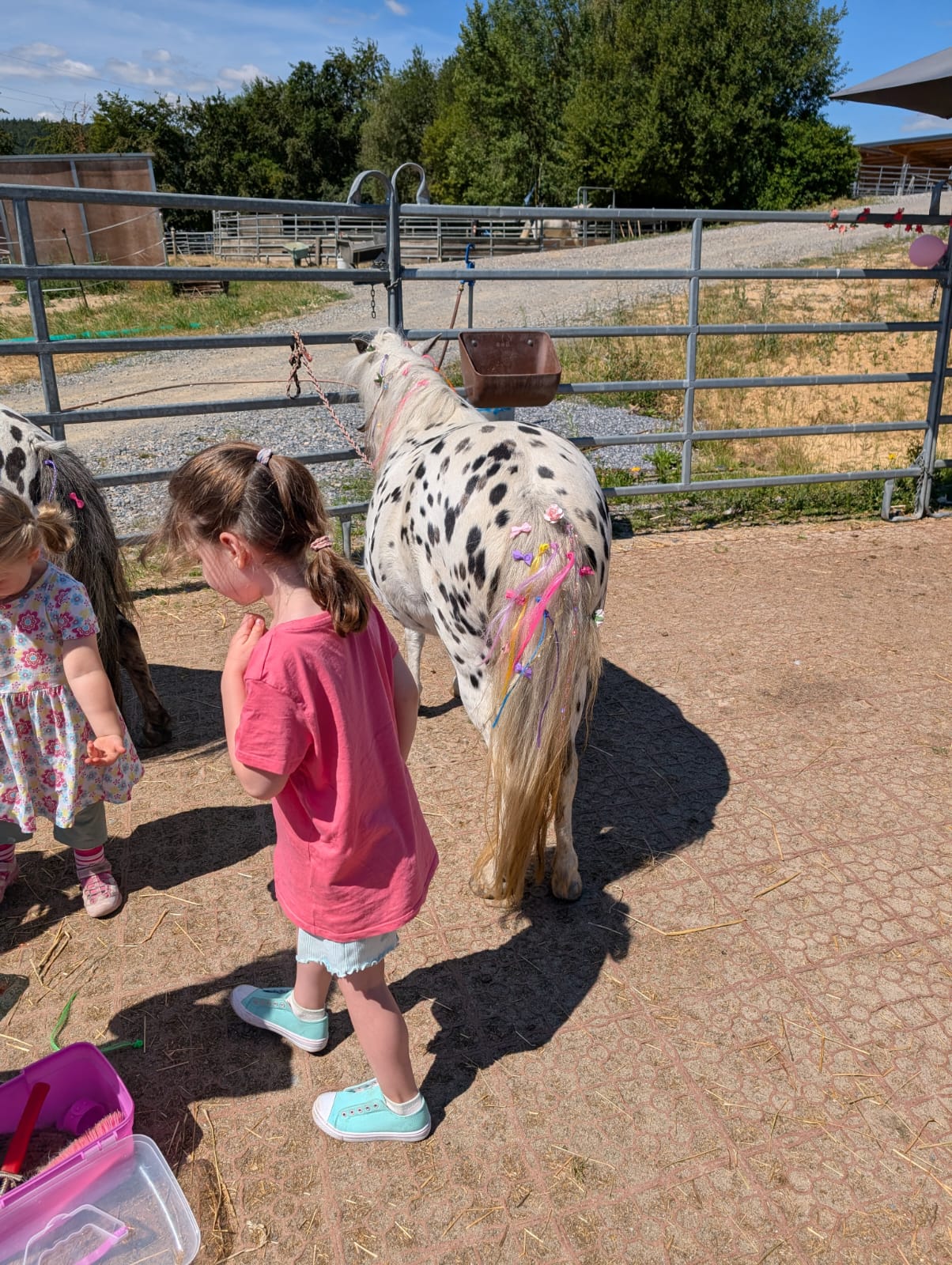 Pony mit bunten Bändern und Schleifen im Schweif beim Kindergeburtstag